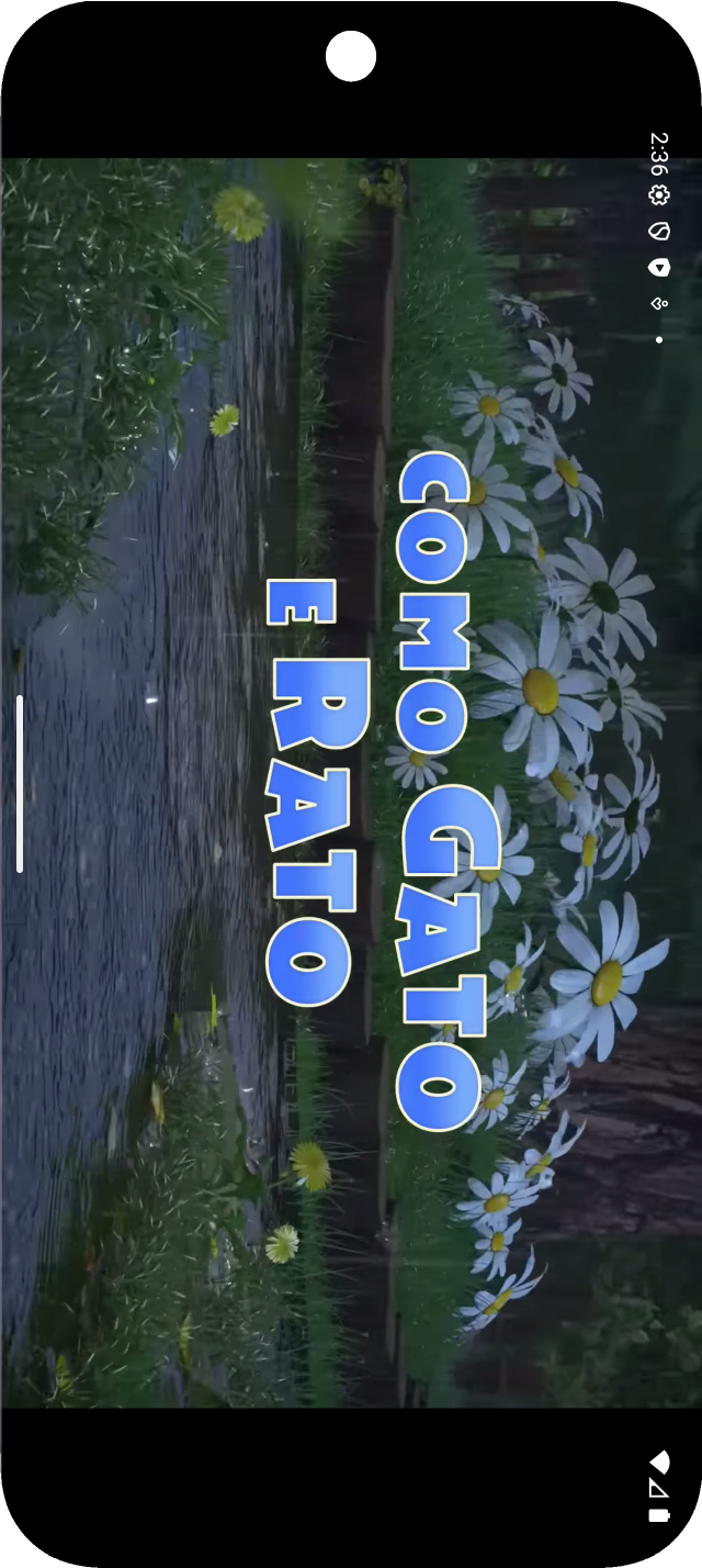 Tela do app